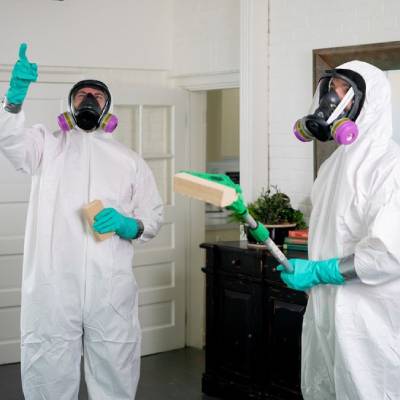 MOLD RESTORATION